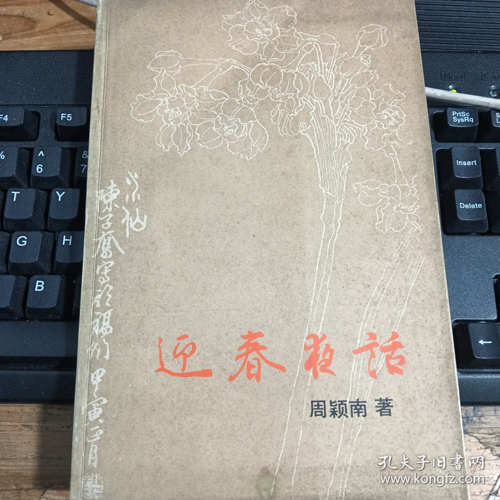 点击查看原图 迎春夜话