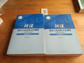 解读最高人民法院司法解释（含指导性案例）刑事卷（上下册）