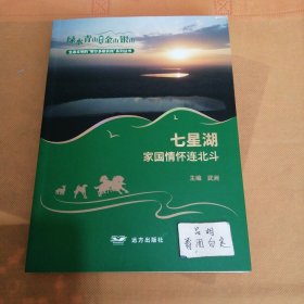 七星湖一家国情怀连北斗 生态文明的鄂尔多斯实践系列丛书