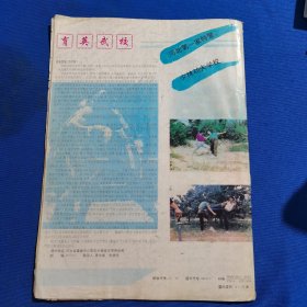 11476；搏击 1994年第3期 泰拳实战膝撞技法精要；腹部的攻击法；功夫巨星李小龙的二节棍；八极拳实战精选；拳法自由配合第四路（续1）【第11,12页有缺损】