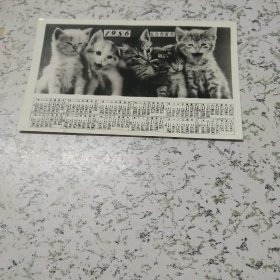 《1986年猫图案年历照片》1张（小开本）