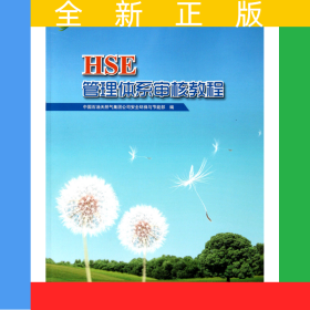 HSE管理體系審核教程/中國石油HSE管理叢書