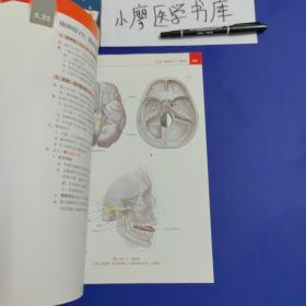 LWW解剖学精要图谱—头部和颈部（解剖学与影像学和临床知识的全面衔接）