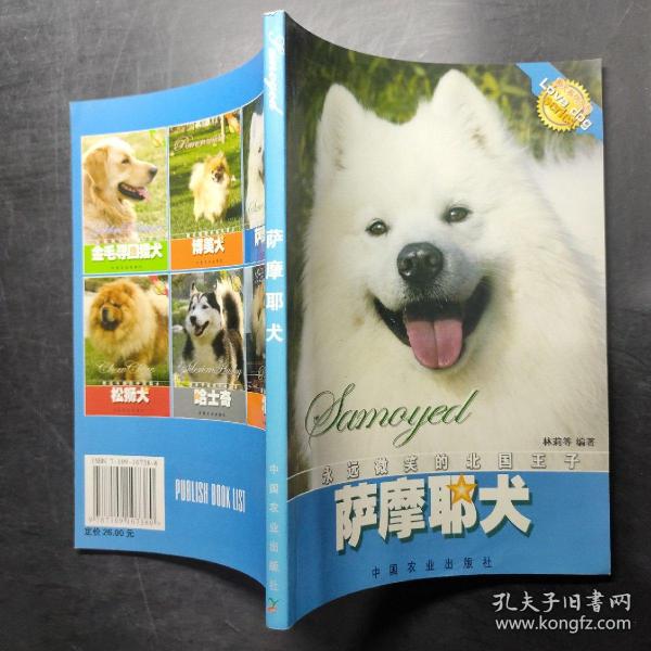 萨摩耶犬