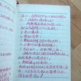 韶山日记  （一个人1974年的日记。只有很少页没用）