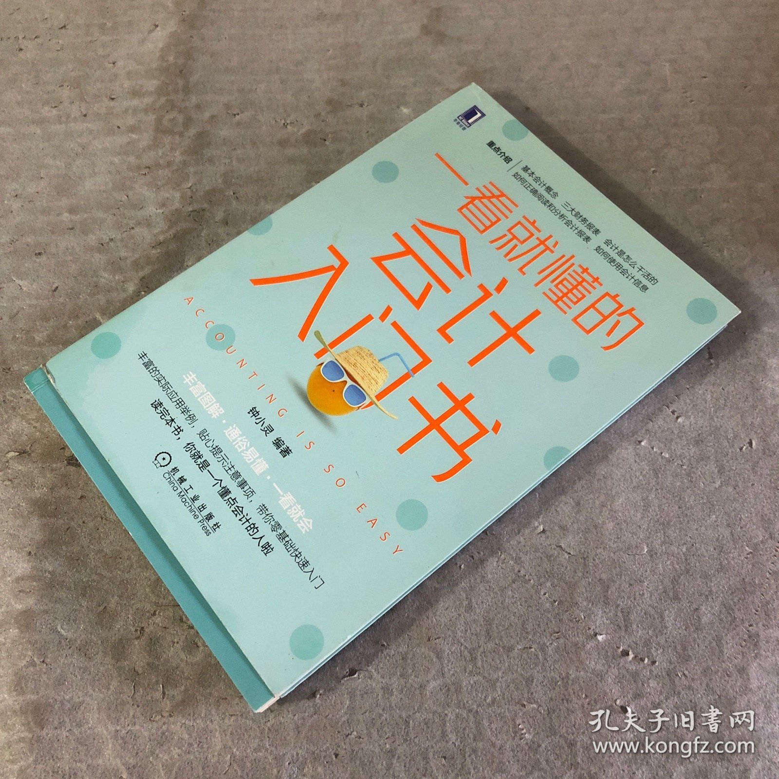 一看就懂的会计入门书