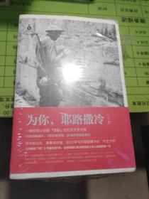 为你，耶路撒冷（上下册）：“这本书会让你无限接近耶路撒冷”