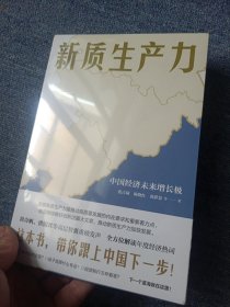 新质生产力（黄奇帆、洪银兴等高层智囊重磅发声，2024年读懂中国经济全新读本！这本书，带你跟上中国下一步！）