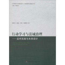 行动学习与县域治理：龙州实践与未来设计