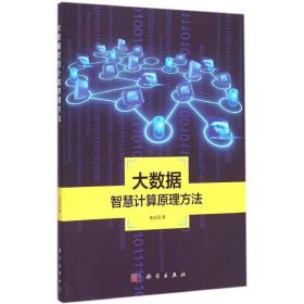 地理信息系统理论与应用丛书：大数据智慧计算原理方法