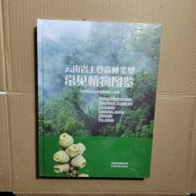 云南省主要森林类型常见植物图鉴(精)