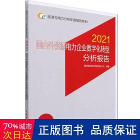 能源与电力分析年度报告系列 2021 国内外能源电力企业数字化转型分析报告