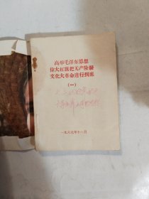 高举毛泽东思想伟大红旗把无产阶级文化大革命进行到底 1967