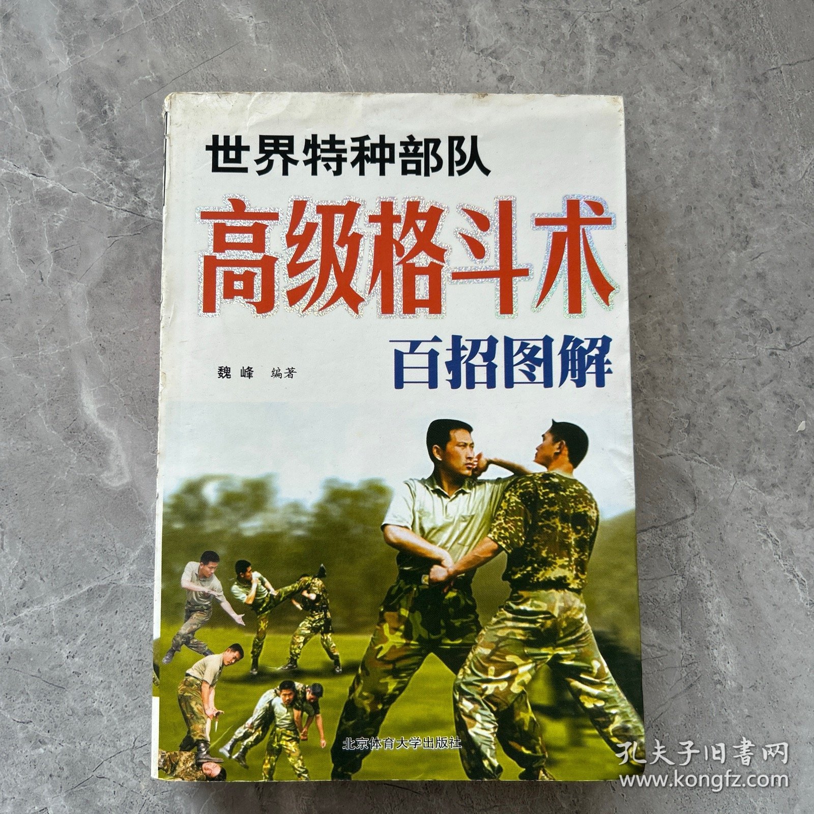 世界特种部队高级格斗术与功力训练