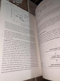 Molecular Evolution A Phylogenetic Approach