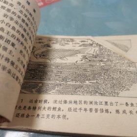 连环画 鱼公主