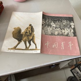 老杂志 中国青年 1963  17期封面