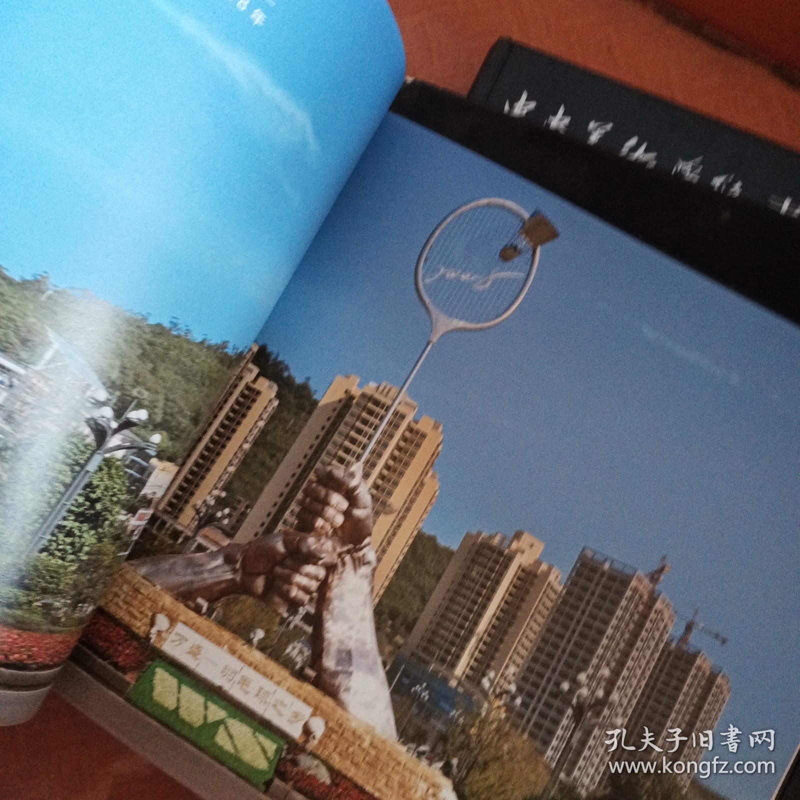 大象无形：胥建国雕塑作品集