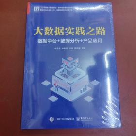 大数据实践之路：数据中台+数据分析+产品应用(博文视点出品)