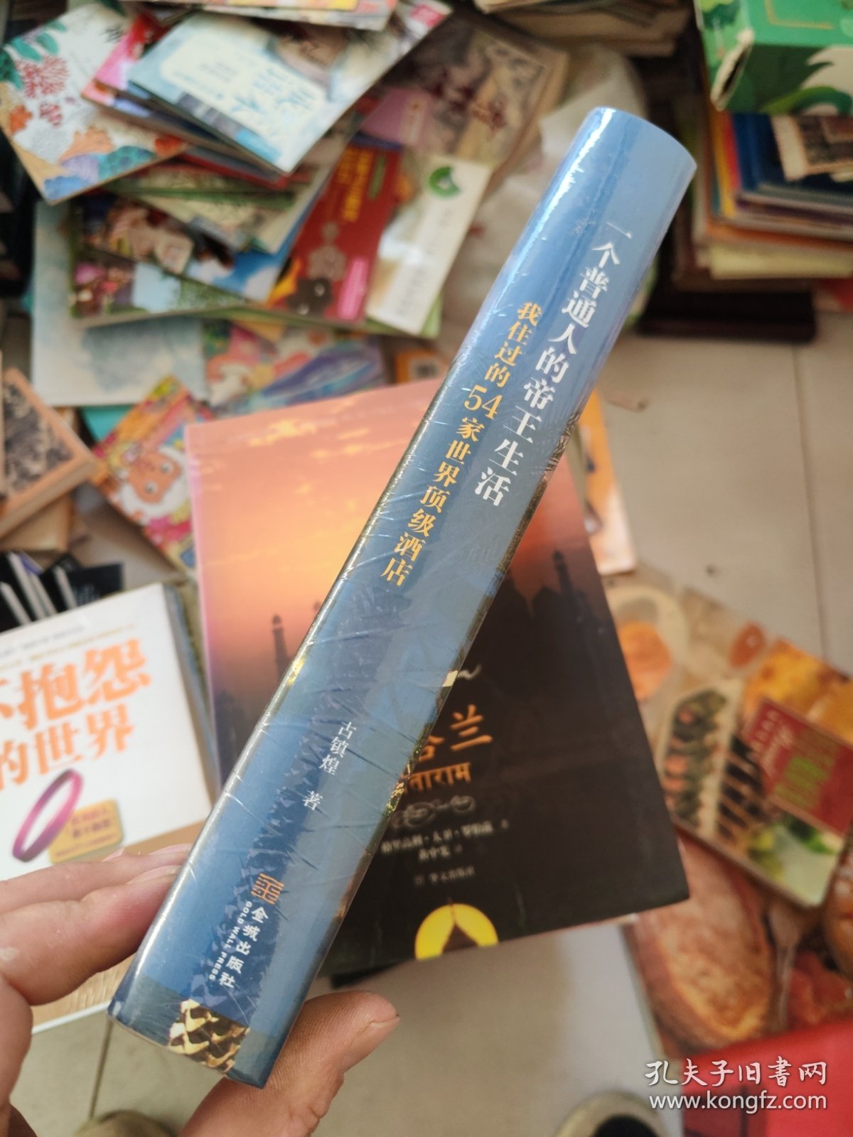 一个普通人的帝王生活(我住过的54家世界顶级酒店)(精)