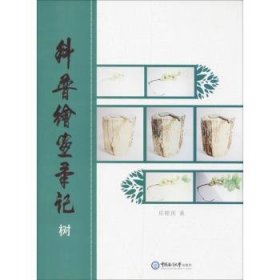 科普绘画笔记:树