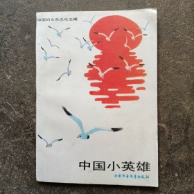 中国小英雄  插图本