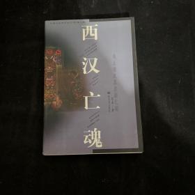 中国文化史探秘丛书(第二辑)-西汉亡魂