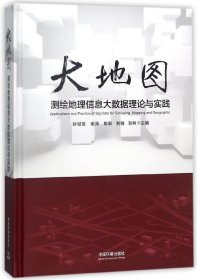 大地图(测绘地理信息大数据理论与实践)(精)