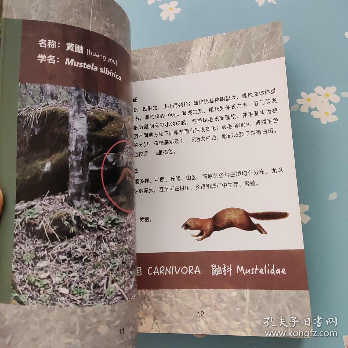 关坝物种名录手册