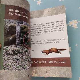 关坝物种名录手册