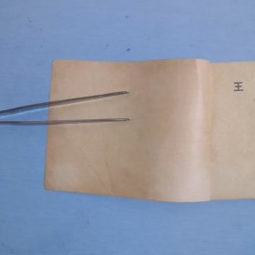 王子复仇记
