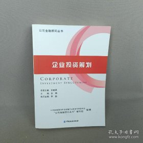 企业投资筹划