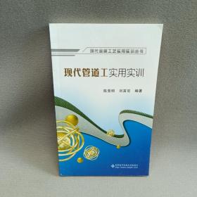 現(xiàn)代金屬工藝實(shí)用實(shí)訓(xùn)叢書：現(xiàn)代管道工實(shí)用實(shí)訓(xùn)
