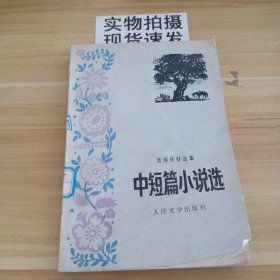 聂姆佐娃选集:中短篇小说选