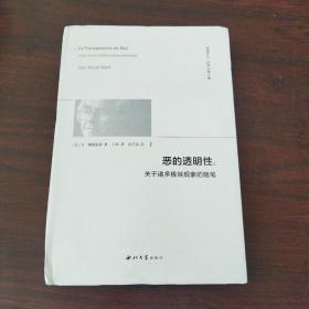 恶的透明性：关于诸多极端现象的随笔/精神译丛