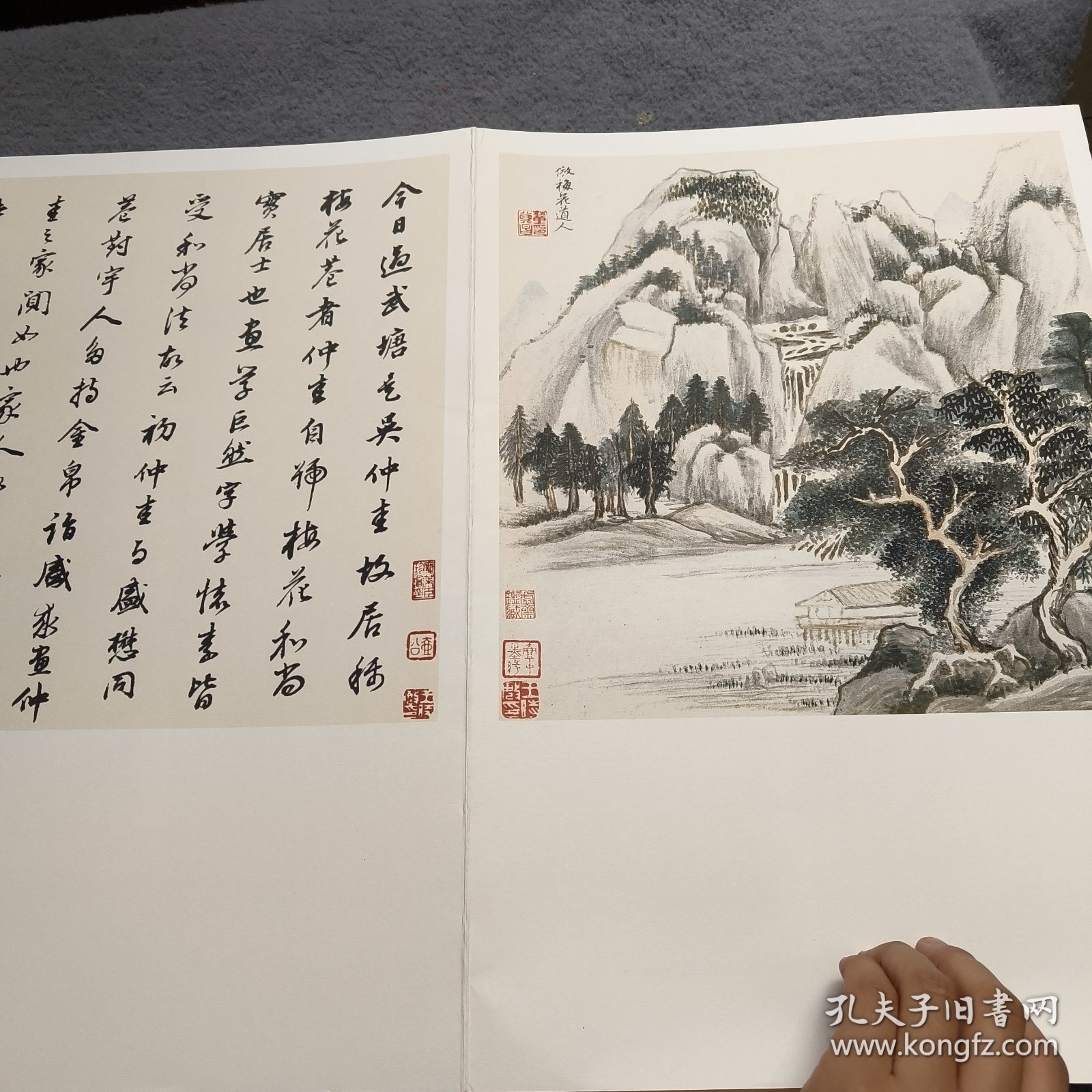 范本传真·中国高等艺术院校教学范本：董其昌仿古山水册（明）