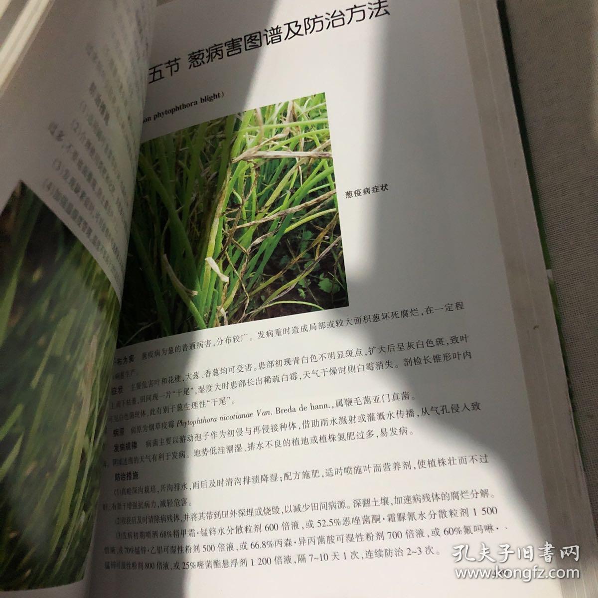 中国植保病虫草害图谱大全暨防治宝典