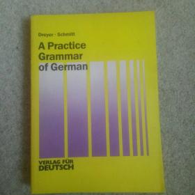 A Practise Grammar of German