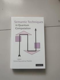 semantic techniques in quantum computation【小16开硬精装英文原版如图实物图】