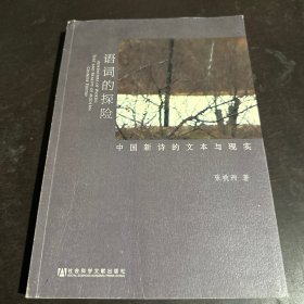 语词的探险：中国新诗的文本与现实