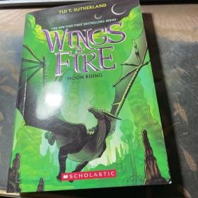 WINGS OF FIRE 火翼飞龙 一本