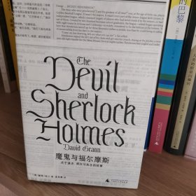 魔鬼与福尔摩斯：关于谋杀、疯狂与执念的故事