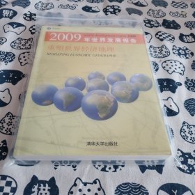 2009年世界发展报告：重塑世界经济地理