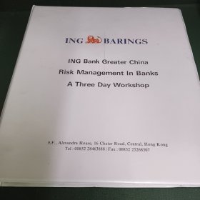 Risk  Management  In  Banks 银行风险管理