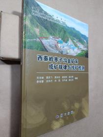西秦嶺棗子溝金礦床成礦規(guī)律與找礦預(yù)測(cè)