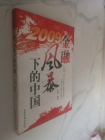 2009金融风暴下的中国