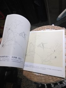 【有印章】荷花玉兰百合画法 方学良 绘 天津杨柳青画社9787807385981