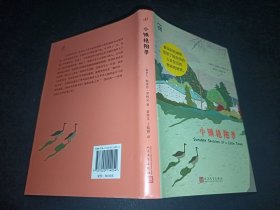 小镇艳阳录