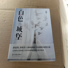 白色城堡（彭冠英、涂松岩主演热播医疗剧《白色城堡》原著小说，一线医生写就的真实故事）