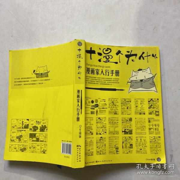 漫画家入行手册：十漫个为什么